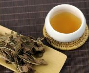 金線蓮泡茶一次放幾根？