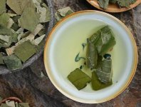 荷葉茶為什么叫短命茶？