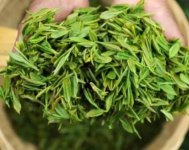 茶樹(shù)產(chǎn)量高嗎？一畝產(chǎn)多少斤？