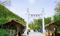 5月12日：徒步貢茶古道，天然氧吧，綠色之旅